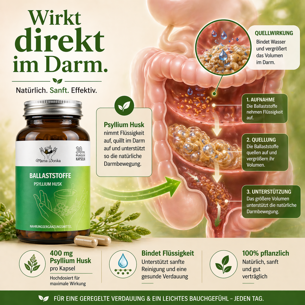 Herba Gastro Comfort und Ballaststoffe Paket – Wohlbefinden und Balance in der Verdauung