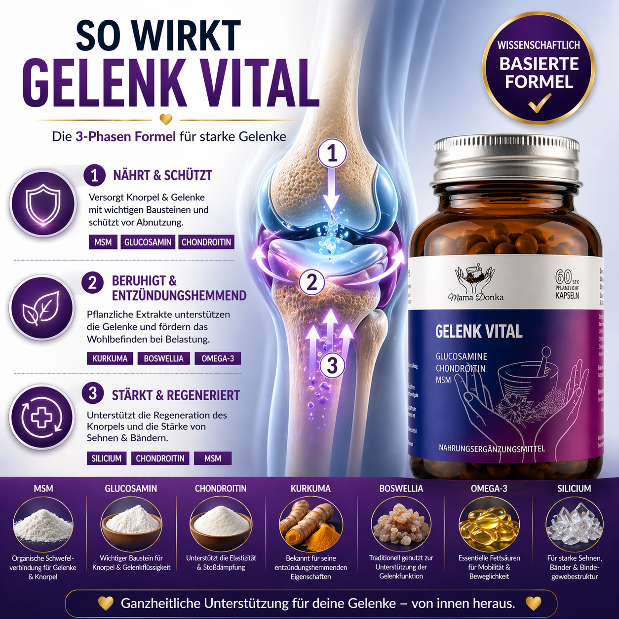 Gelenk Vital – Aktivitäts & Knorpel Komplex