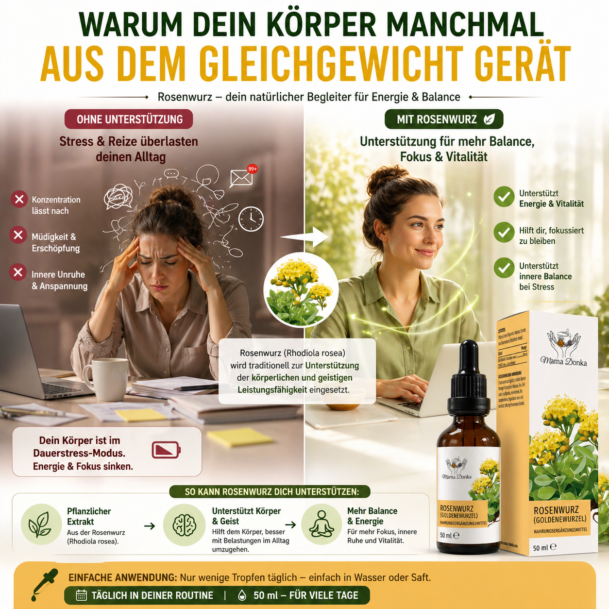 Rosenwurz – Adaptogen Tinktur