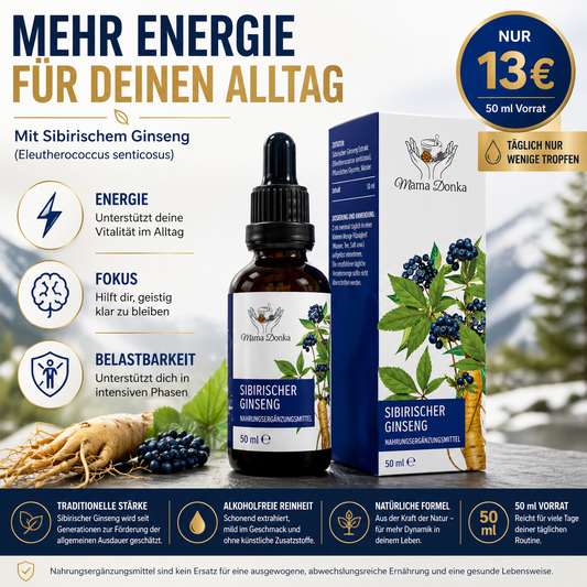 Sibirischer Ginseng – natürlicher Stimulator für Energie, Konzentration und Immunität