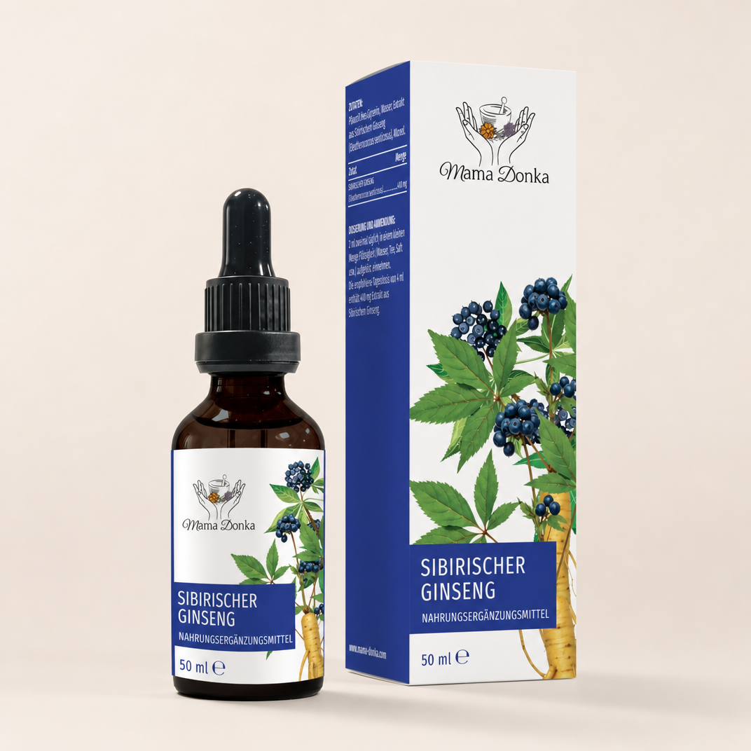 Sibirischer Ginseng – natürlicher Stimulator für Energie, Konzentration und Immunität